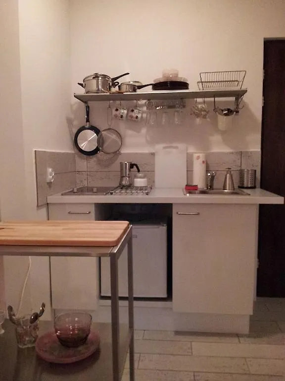 Koro De Varsovio - Apartament Ciasna 10 Διαμέρισμα